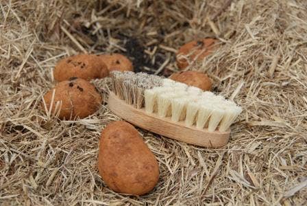 REDECKER Vegetable Brush French