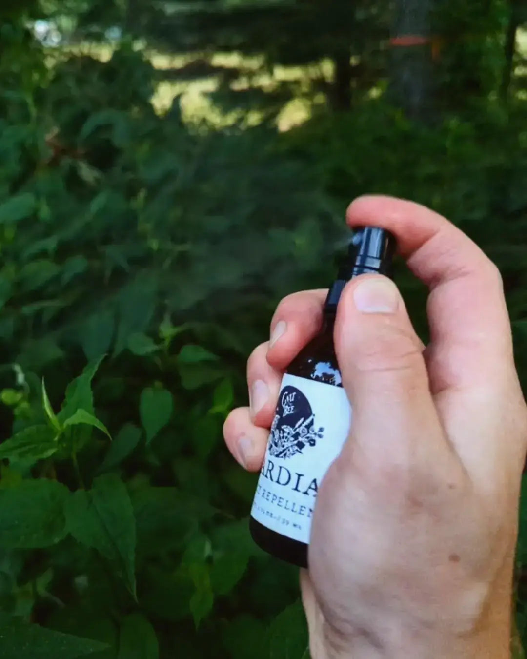 Gnat & Bee Guardian | Insect Repellent