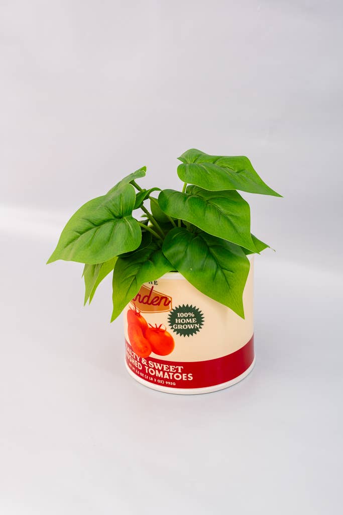 Ban.do Ceramic Vase, Tomato Can