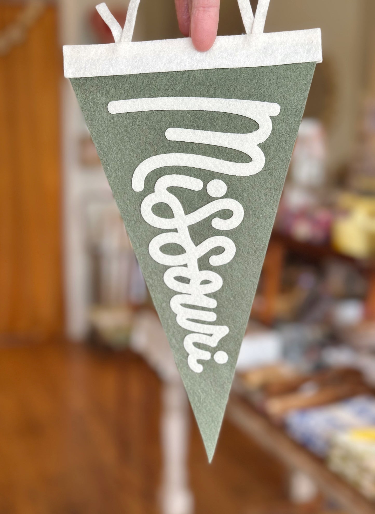 Green Missouri Pennant