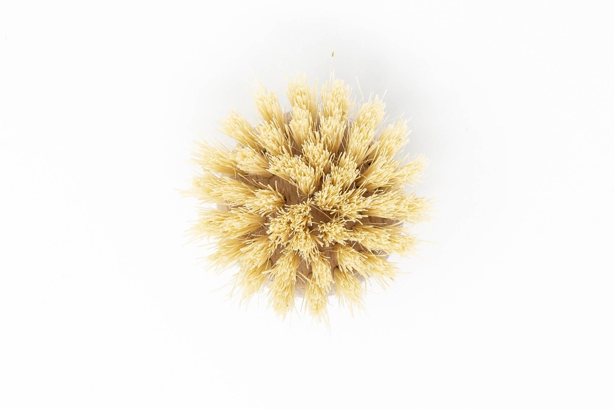 Beechwood Long Handle Dish Brush – Soft Agave