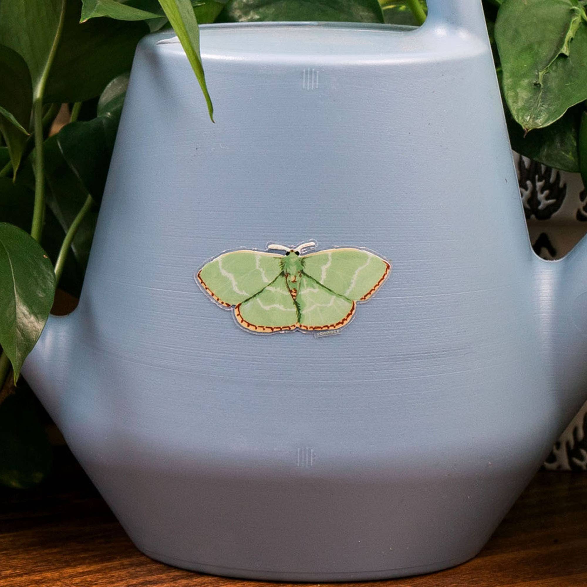Red Fringed Emerald Moth Clear Decal Sticker