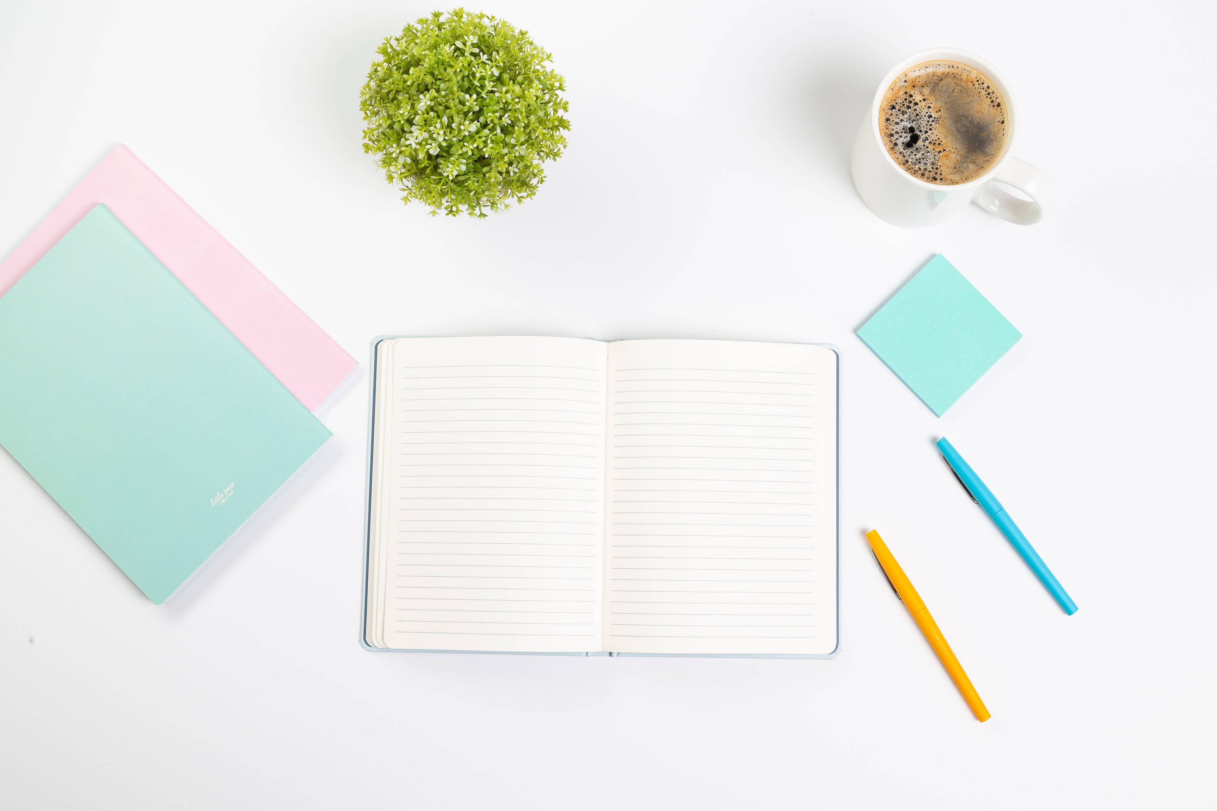 Blue Swan Journal, Hardcover Stationary