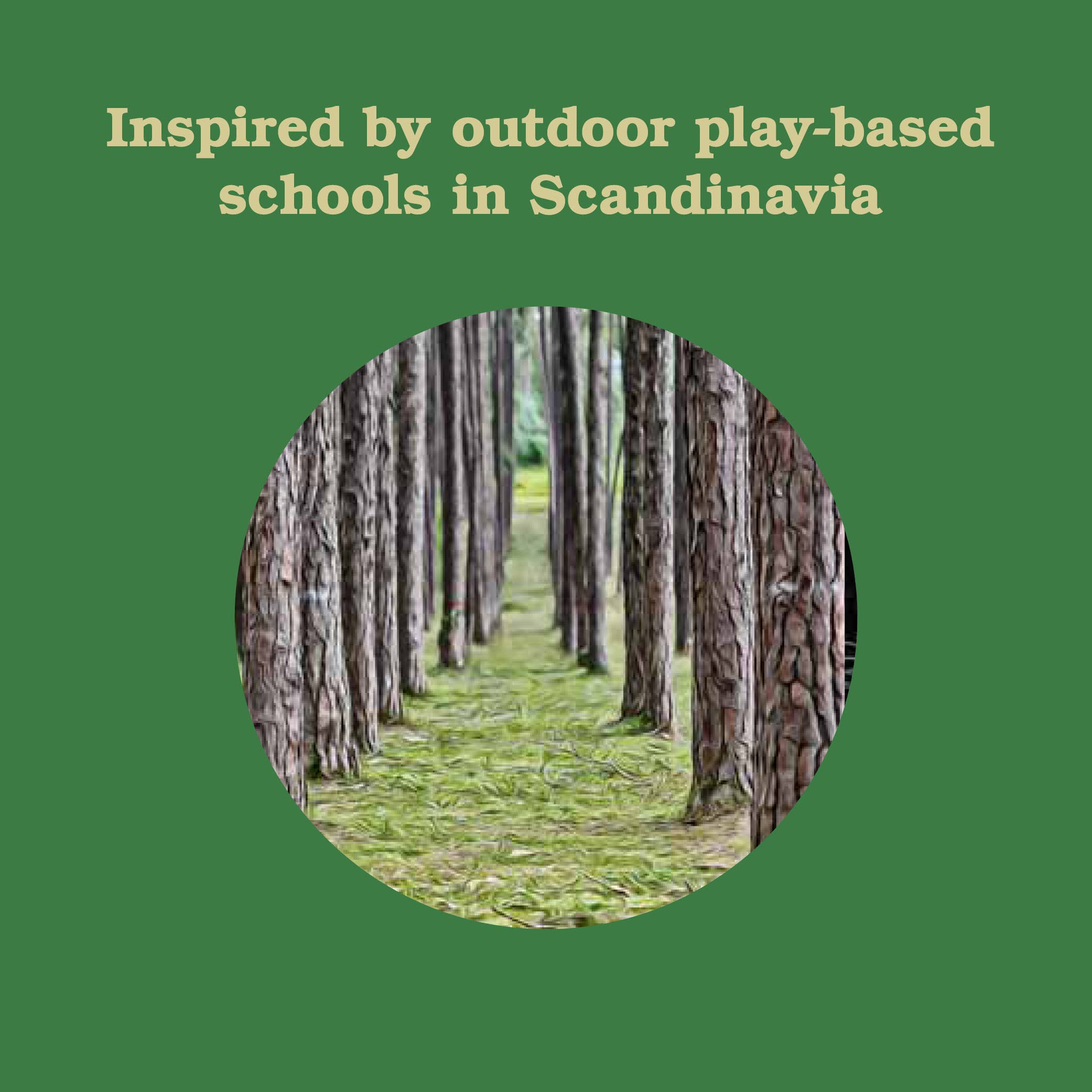 Forest School for Grown-Ups Book