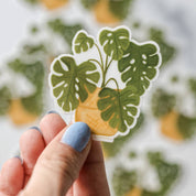 Monstera Plant Clear Decal Sticker