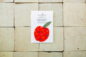 Handmade Iron-On Patch - Apple Approx. 2.5"x2.5" - Limited Fall Edition