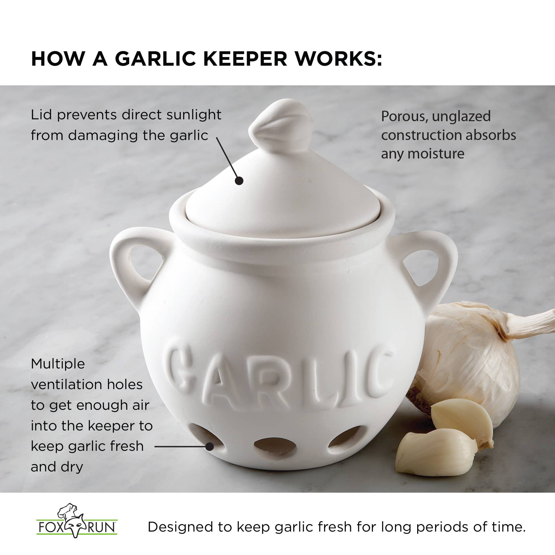 Fox Run Garlic Keeper- Terra Cotta