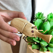 Handmade Bamboo Unicorn Beetle