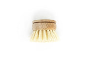 Beechwood Dish Brush Replacement Head – Soft Agave