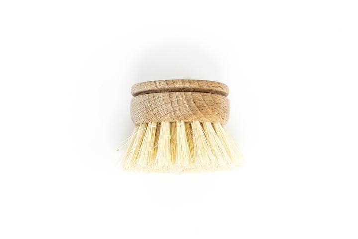 Beechwood Dish Brush Replacement Head – Soft Agave