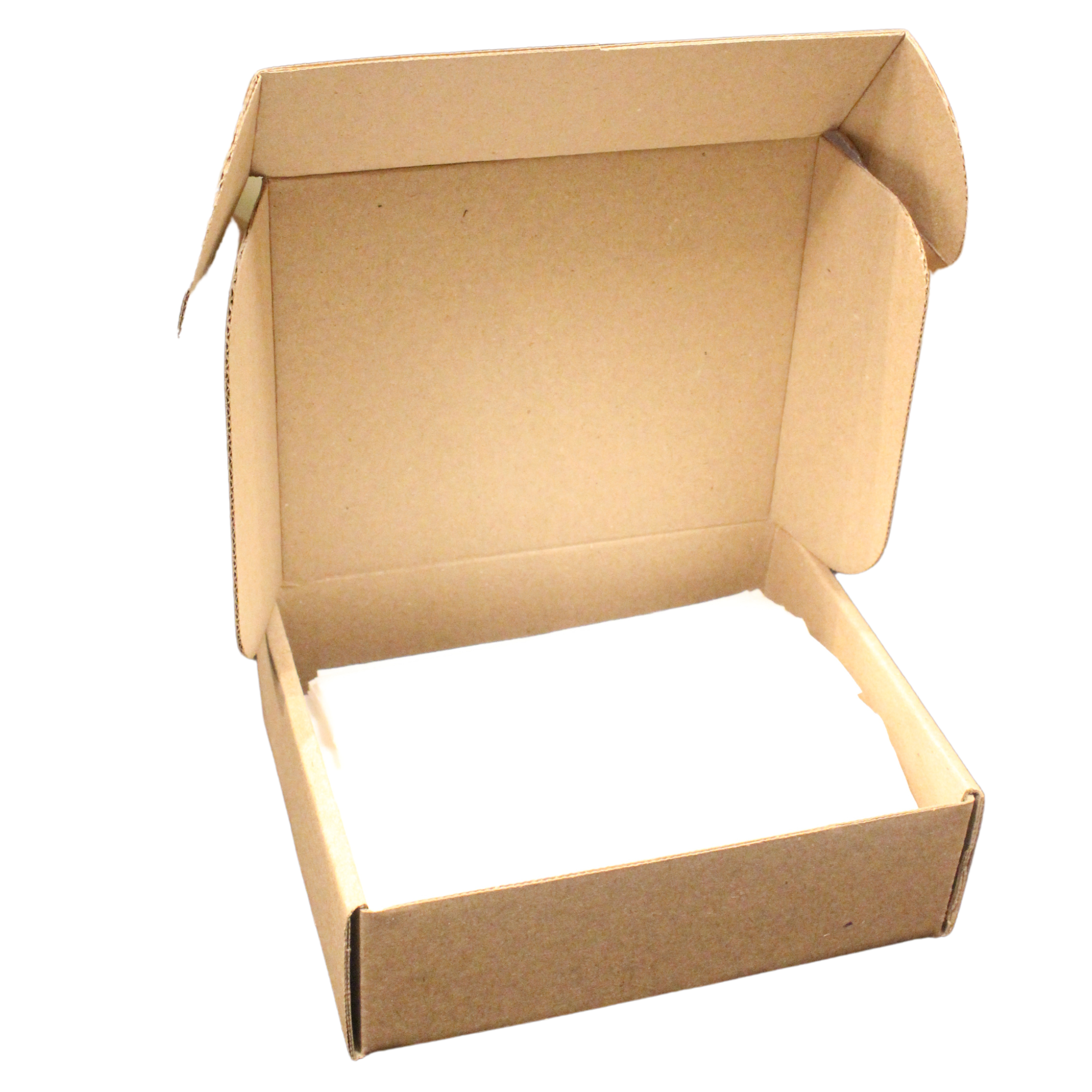 Eco Clean Dryer Sheets - 50 LG Sheets