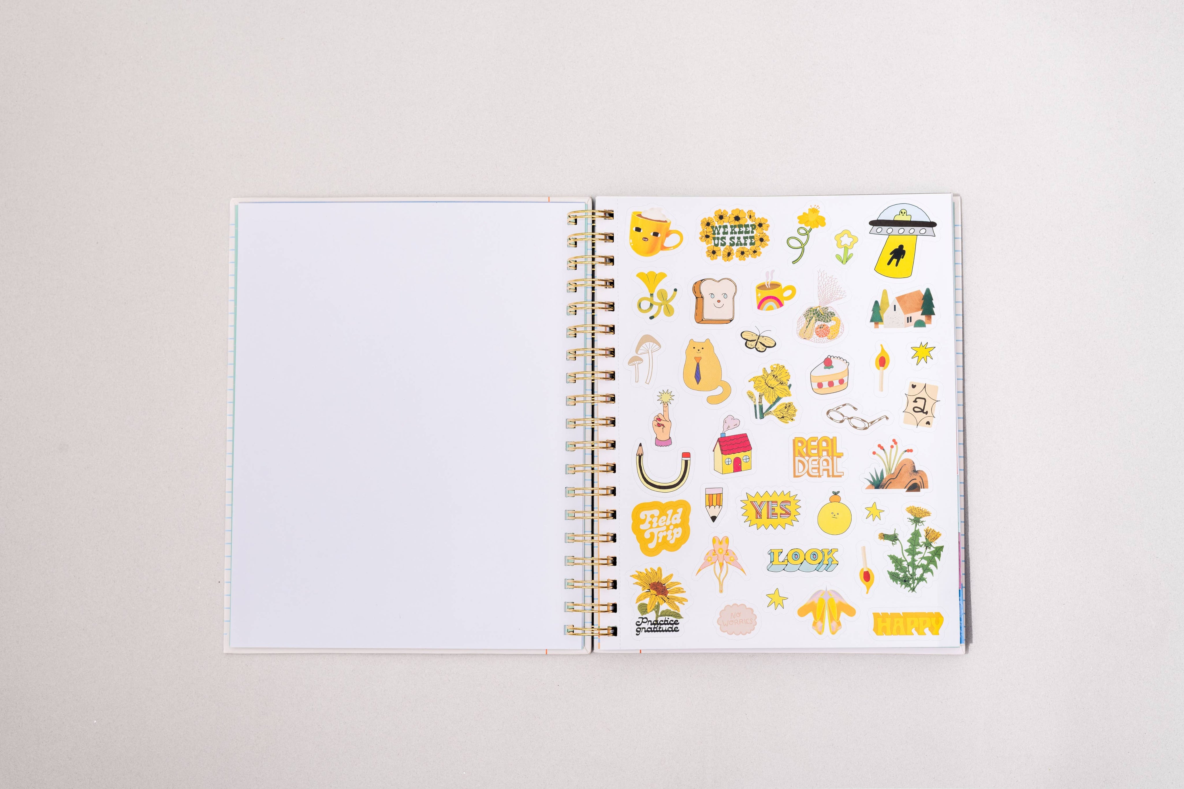 Ban.do 12 Month Large Planner, Ready for Anything