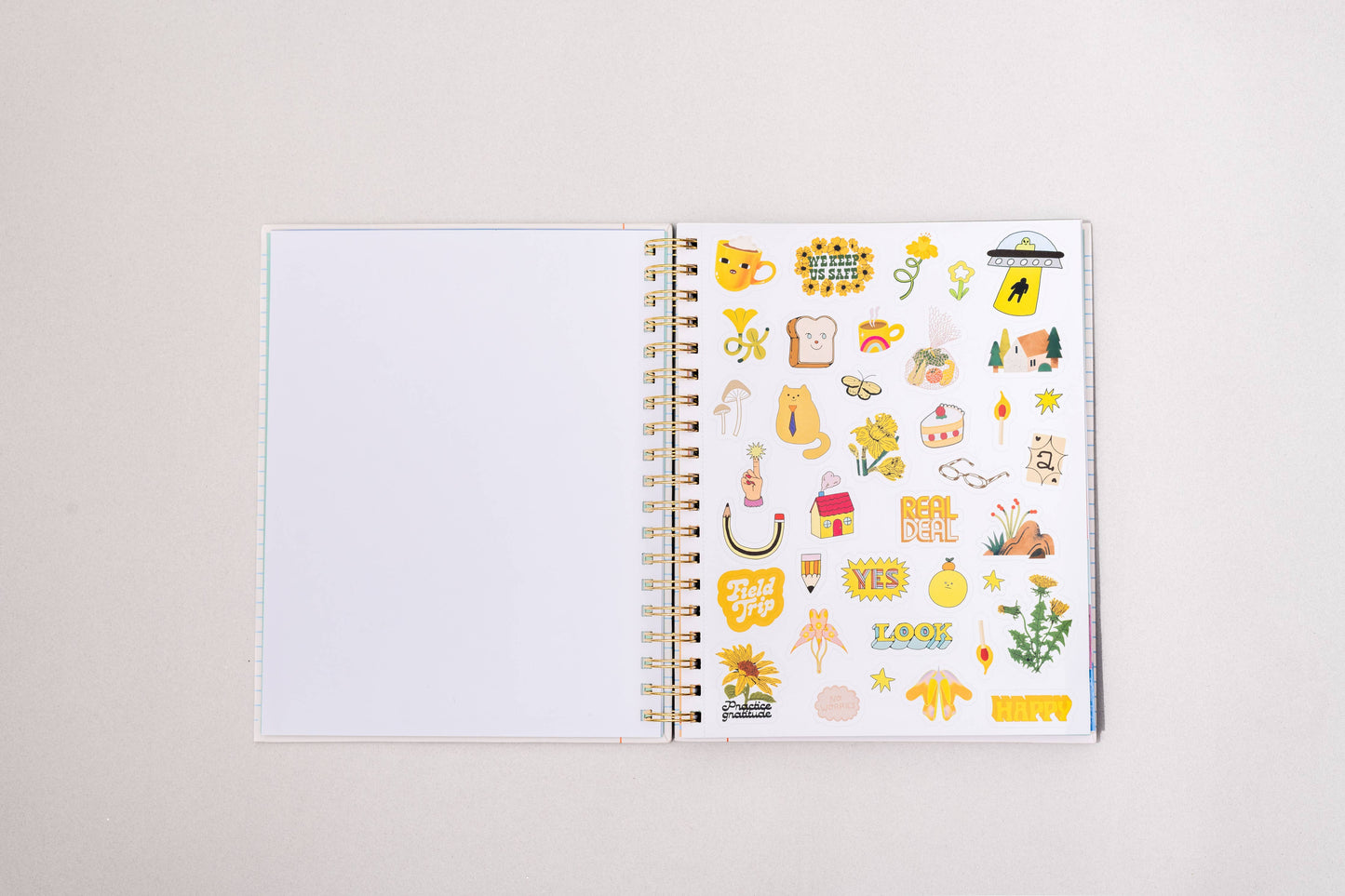 Ban.do 12 Month Large Planner, Ready for Anything