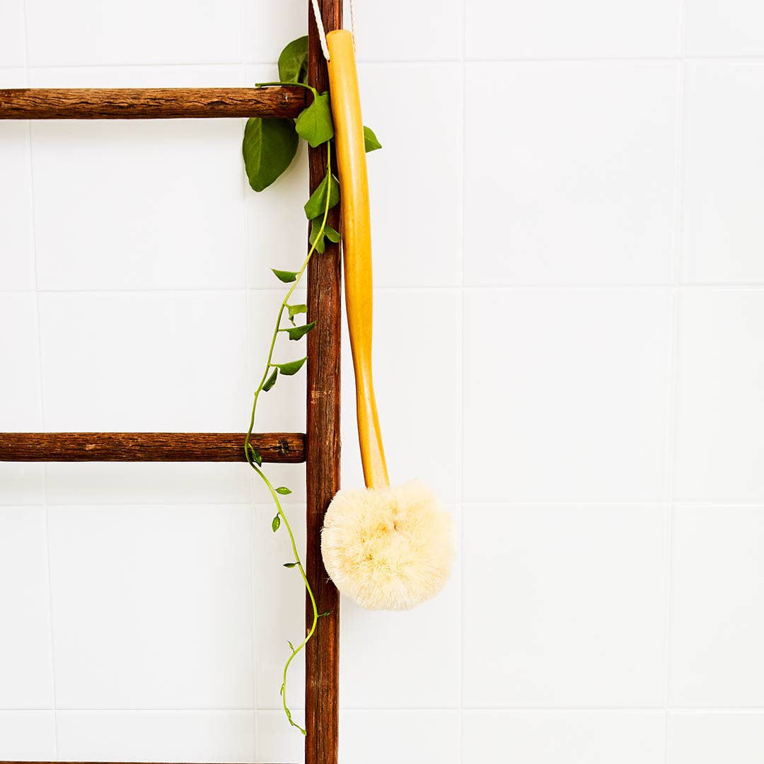 Back Body Brush (Wet or Dry) All Natural