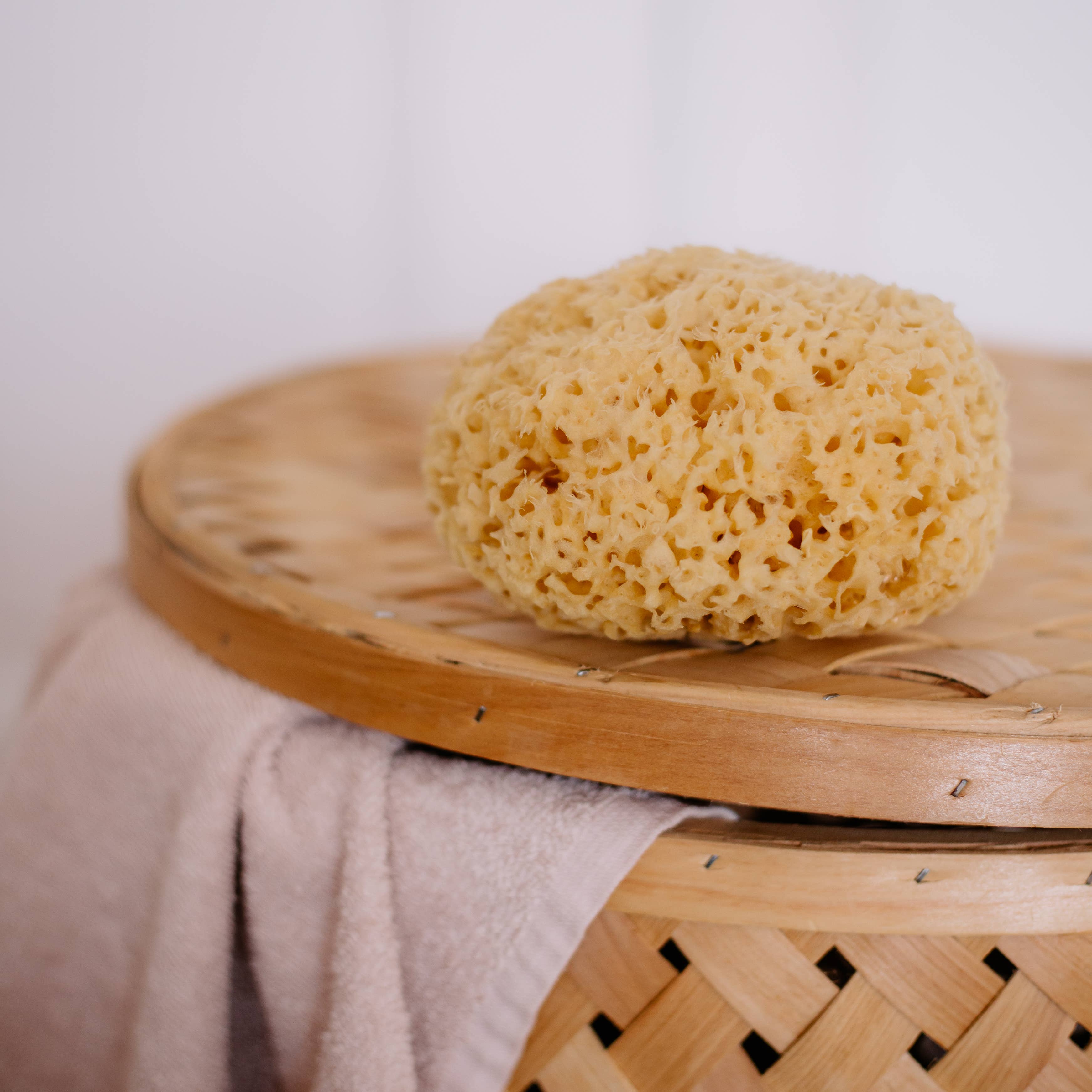 Sustainable natural sponge from the sea for bath wellness spa