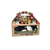 Perfect Petzzz Breathing B&W Shorthair Kitten