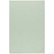 Dawn Eucalyptus Mist Floursack Dishtowels Set of 3