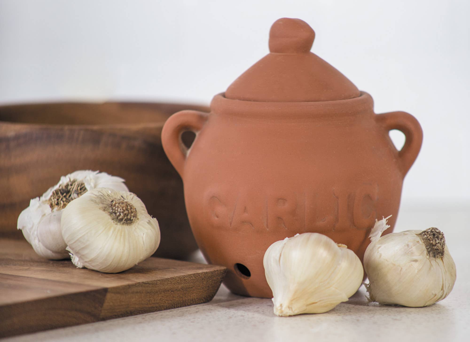 Fox Run Garlic Keeper- Terra Cotta