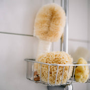 Sustainable natural sponge from the sea for bath wellness spa