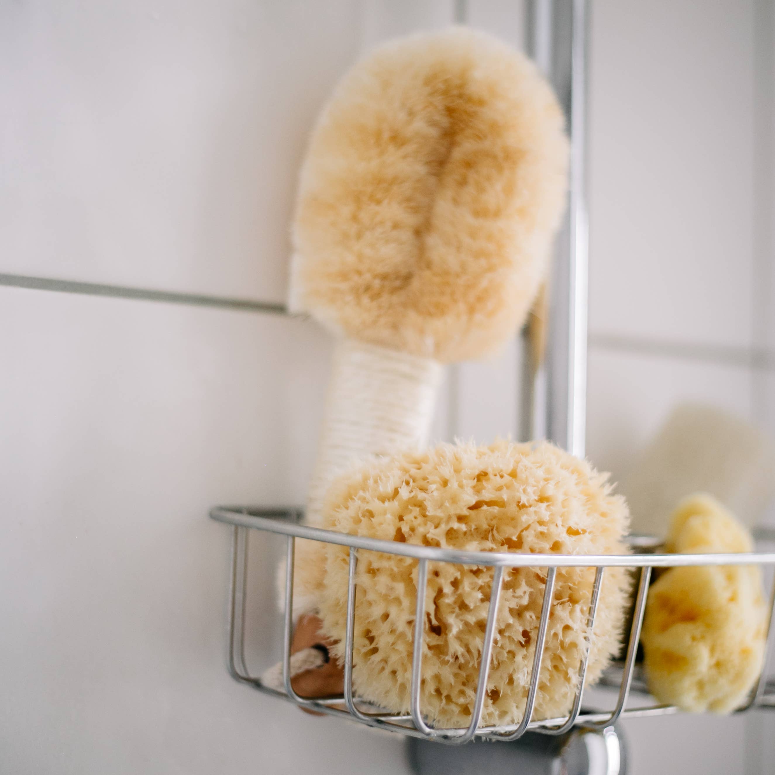 Sustainable natural sponge from the sea for bath wellness spa