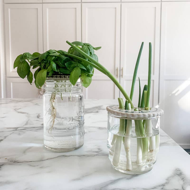 Magpie Mischief  Handmade Flower Frog- Rose