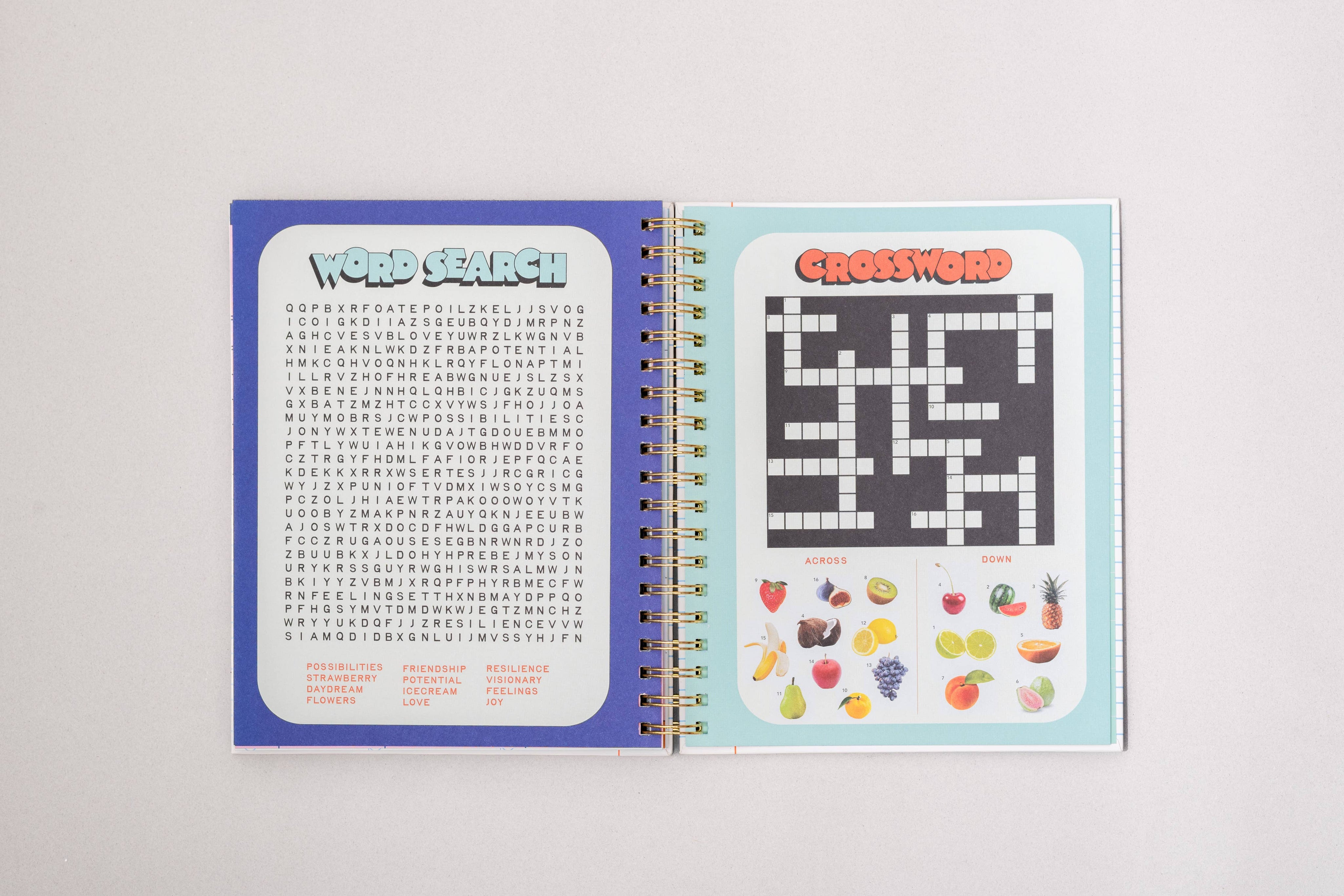 Ban.do 12 Month Large Planner, Ready for Anything