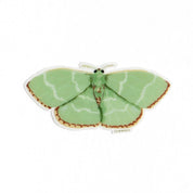Red Fringed Emerald Moth Clear Decal Sticker