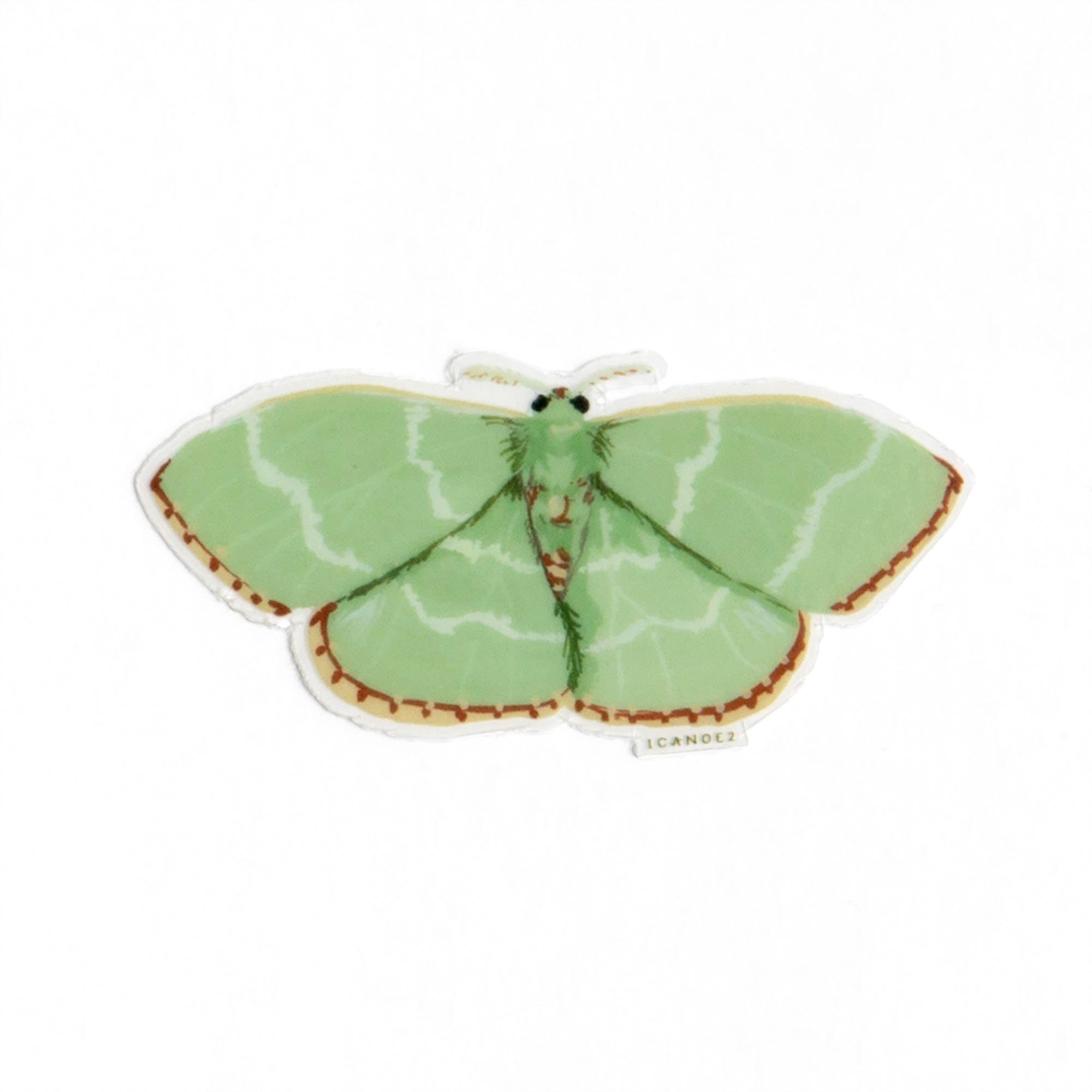 Red Fringed Emerald Moth Clear Decal Sticker