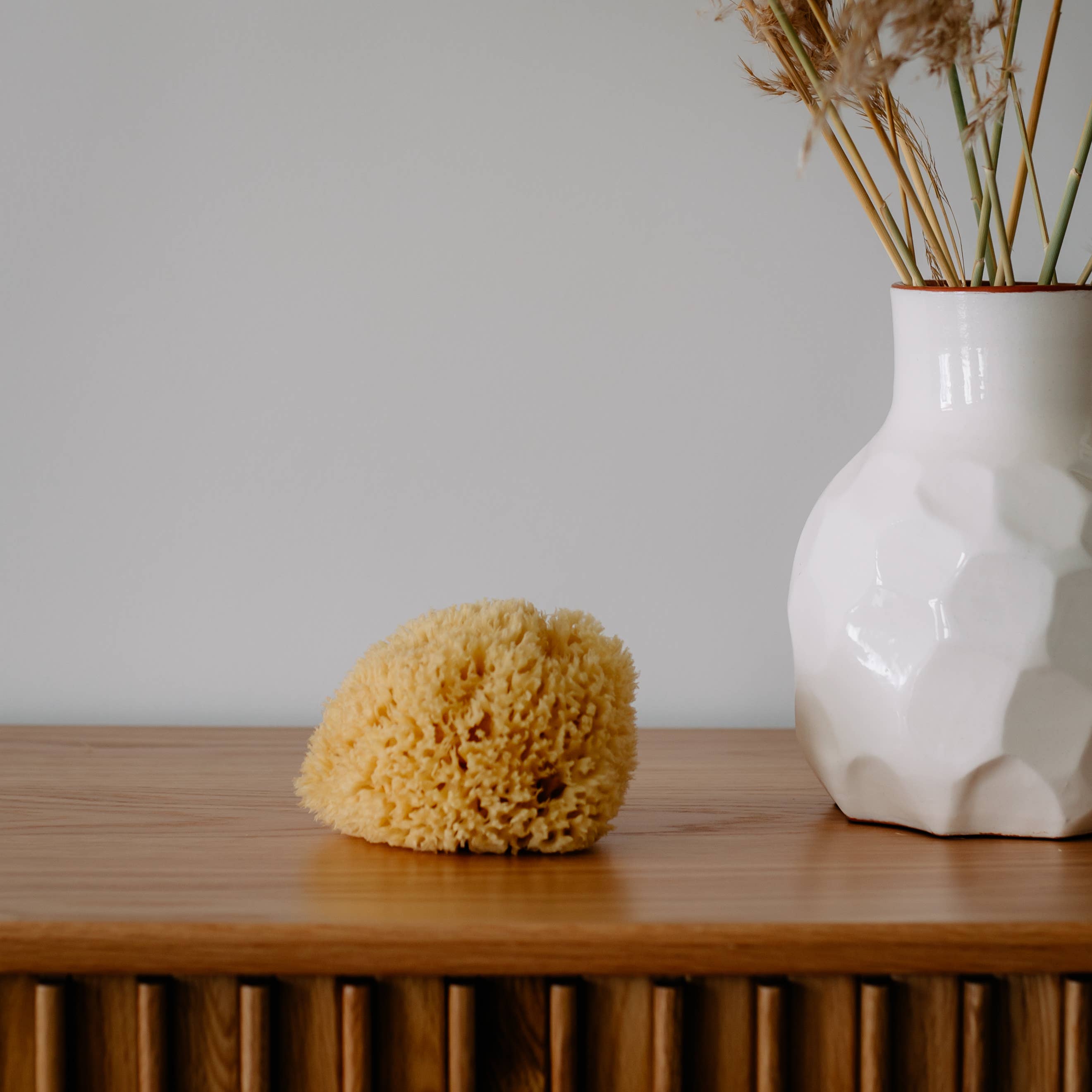 Sustainable natural sponge from the sea for bath wellness spa