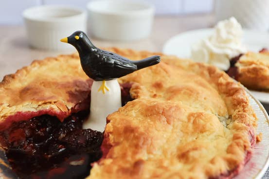 Fox Run Blackbird Pie Vent- Pie Bird For Baking
