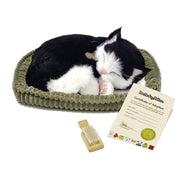 Perfect Petzzz Breathing B&W Shorthair Kitten