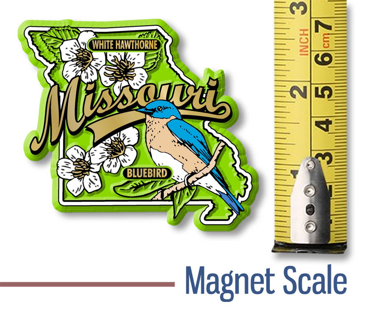 Missouri State Bird and Flower Map Magnet Made in USA