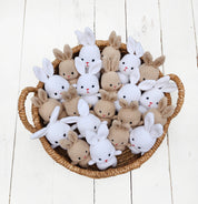 Mini Crochet Pocket Bunny