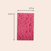 Compostable Cellulose Kitchen Sponge | Kitchen Bestseller