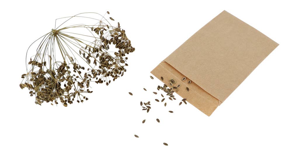 REDECKER Seed Saver Bags 10/PK