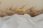 Beechwood Dish Brush Replacement Head – Soft Agave