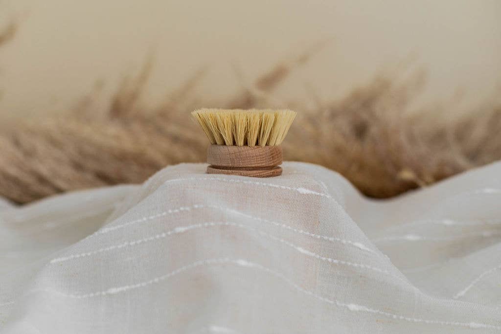 Beechwood Dish Brush Replacement Head – Soft Agave