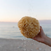 Sustainable natural sponge from the sea for bath wellness spa