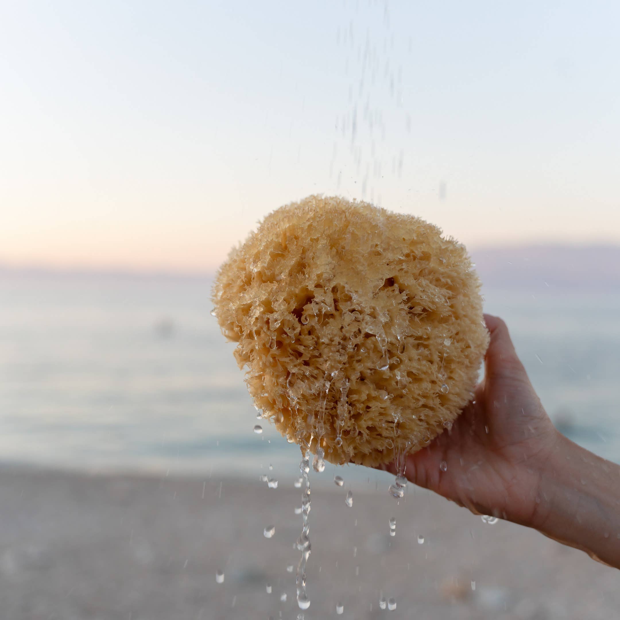 Sustainable natural sponge from the sea for bath wellness spa