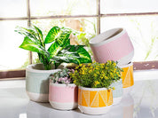 Green Large Etched Planter-6.5"D