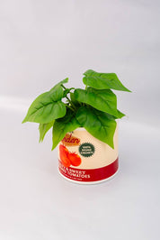 Ban.do Ceramic Vase, Tomato Can