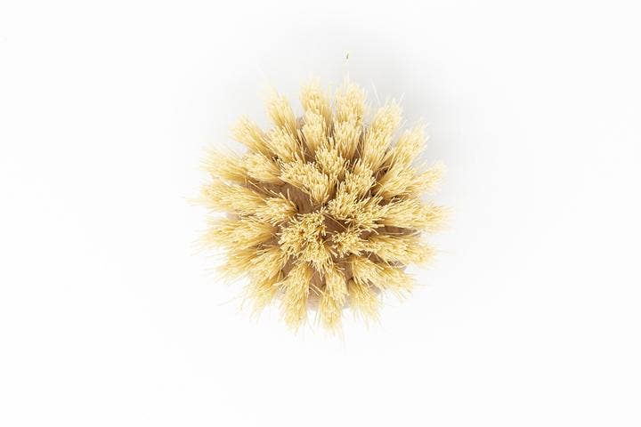 Beechwood Dish Brush Replacement Head – Soft Agave