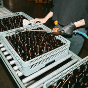 P.F. Candle Co. Black Fig - 7.2 oz Standard Soy Candle