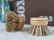 Beechwood Dish Brush Replacement Head – Hard Coconut 