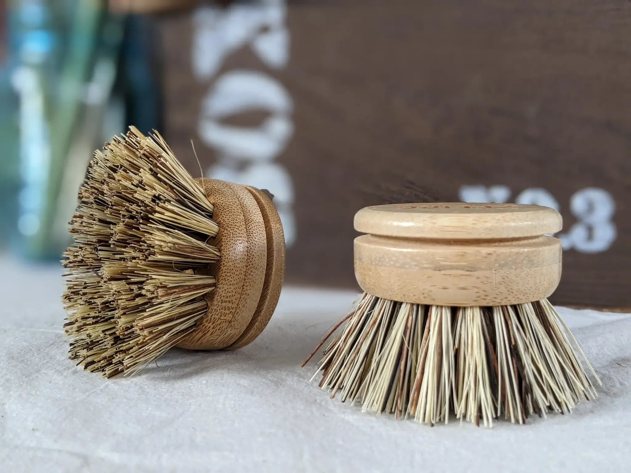 Beechwood Dish Brush Replacement Head – Hard Coconut 