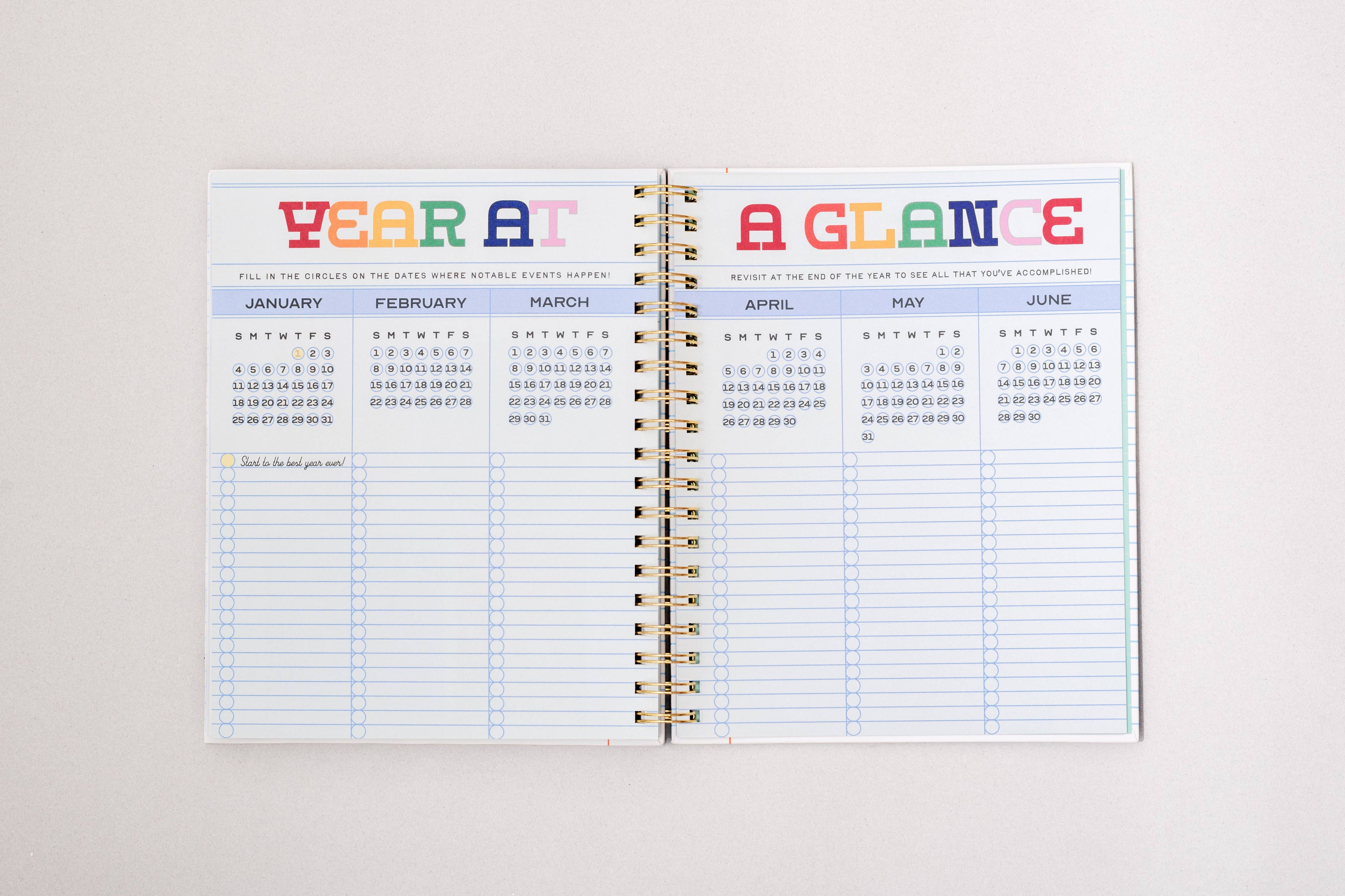 Ban.do 12 Month Large Planner, Ready for Anything