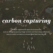 Jumbo Wool Dryer Ball