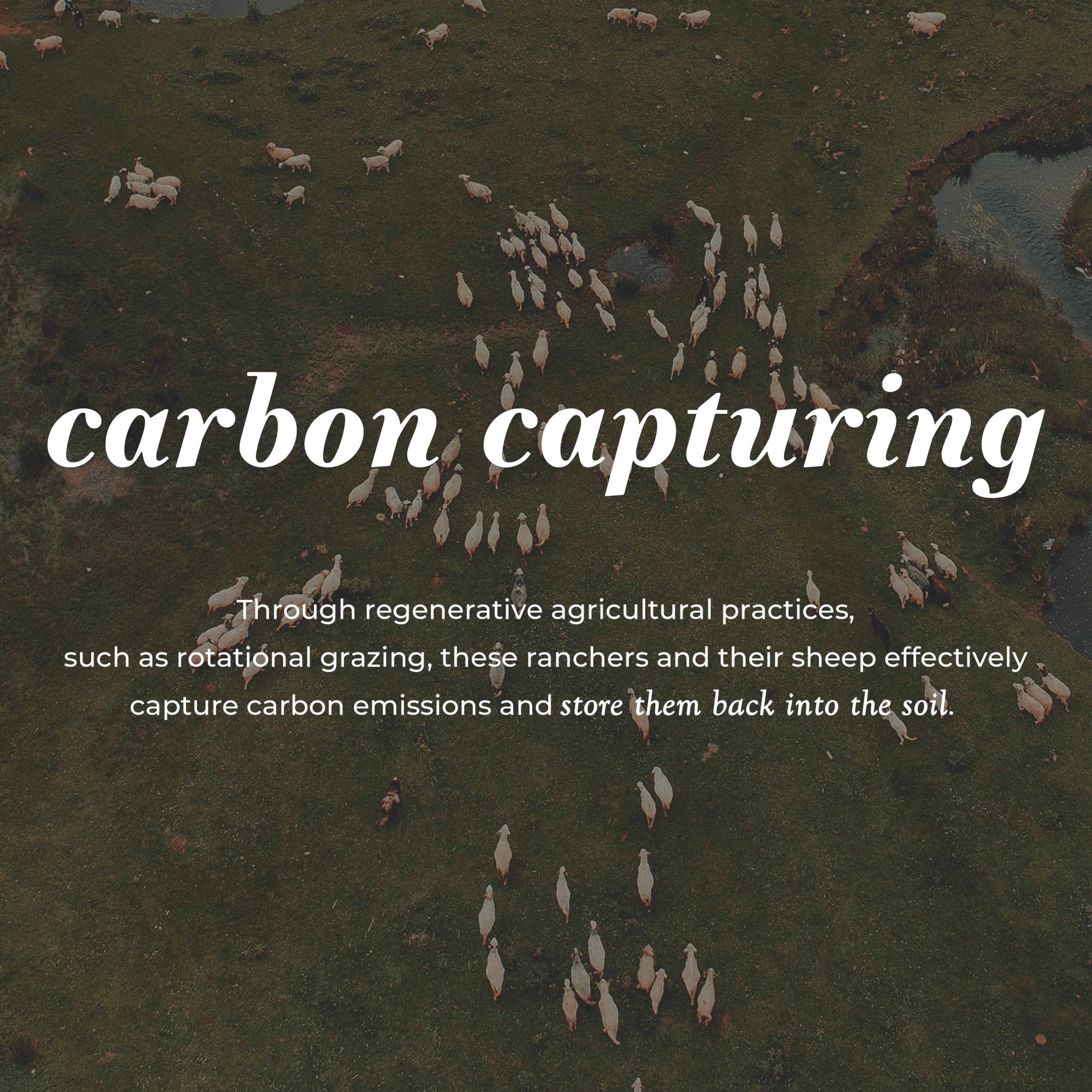 Jumbo Wool Dryer Ball