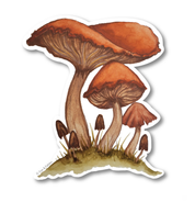 Orange Mushrooms Illustrated Vinyl Sticker