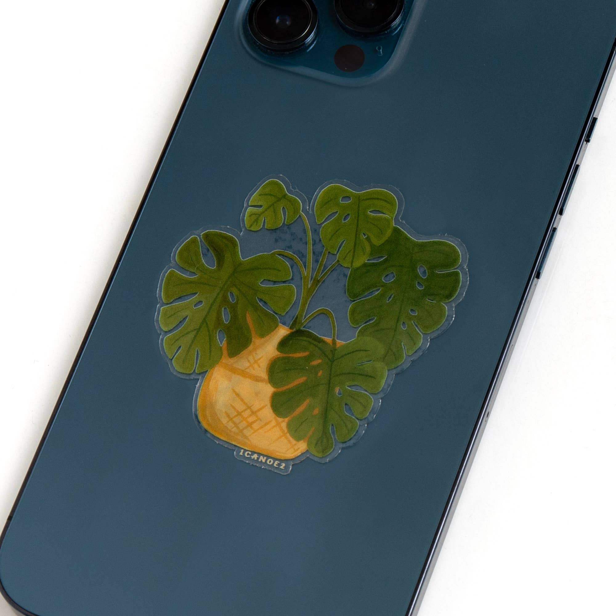 Monstera Plant Clear Decal Sticker